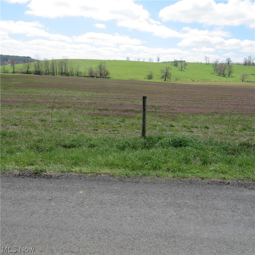 Fink Road Kensington, OH 44427 - Photo 2 of 22