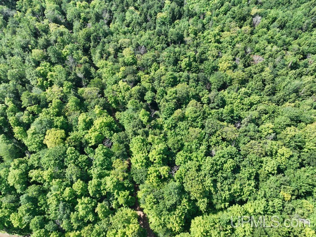 0 Peter White Road Au Train, MI 49806 - Photo 6 of 12