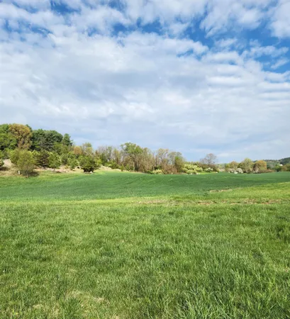 a view of a green field with clear sky