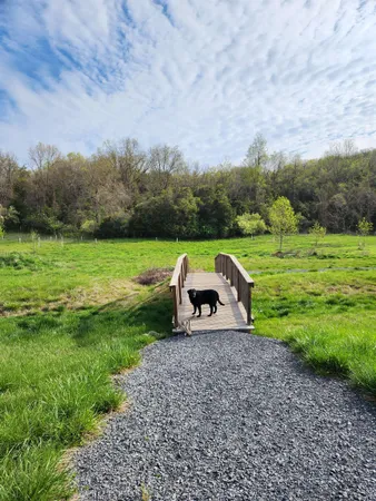 a view of an outdoor space and yard