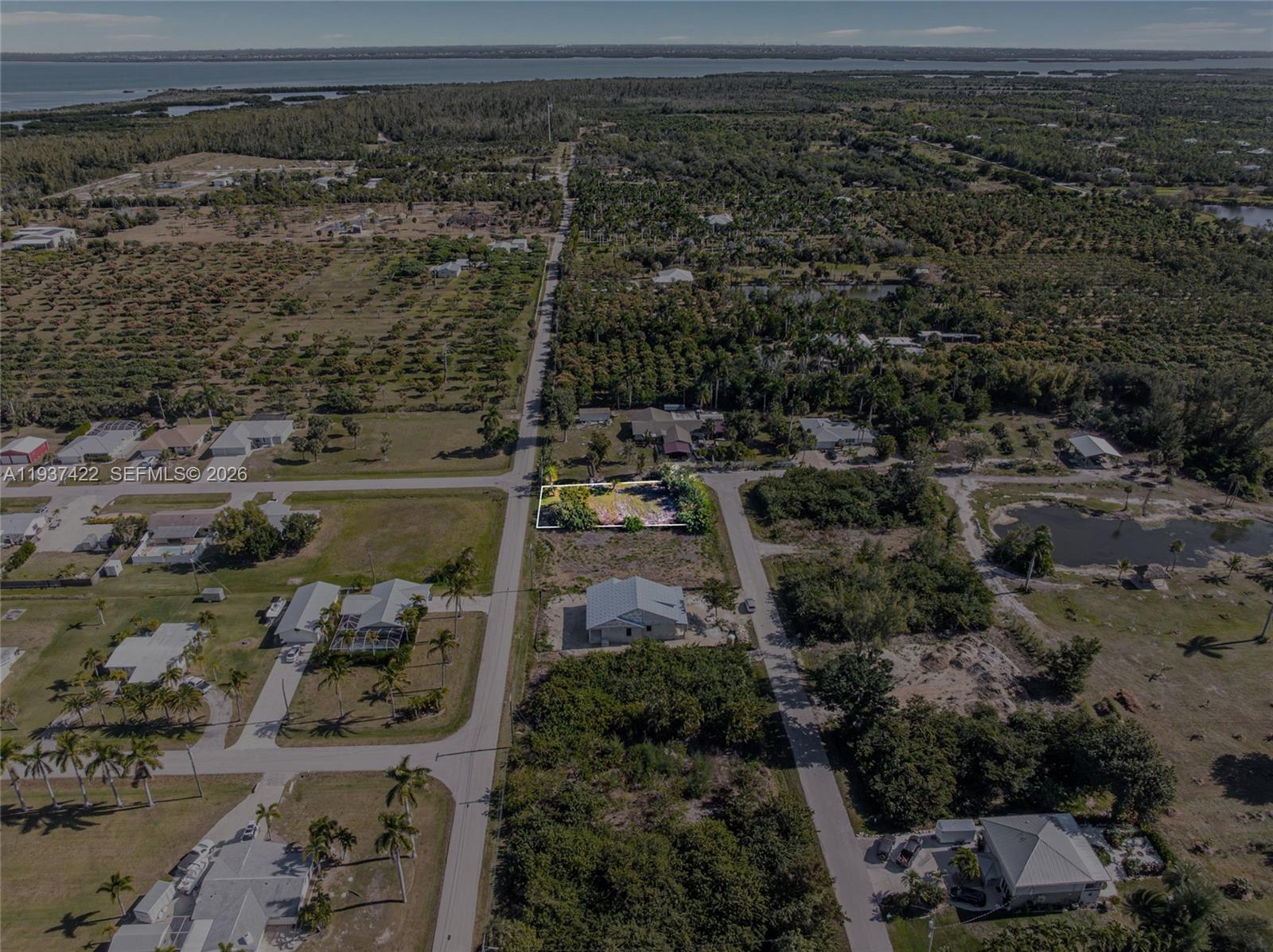 7324 Cobb Road Bokeelia, FL 33922 - Photo 23 of 24 a view of a yard with plants and large trees