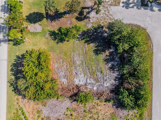 a view of a garden with plants
