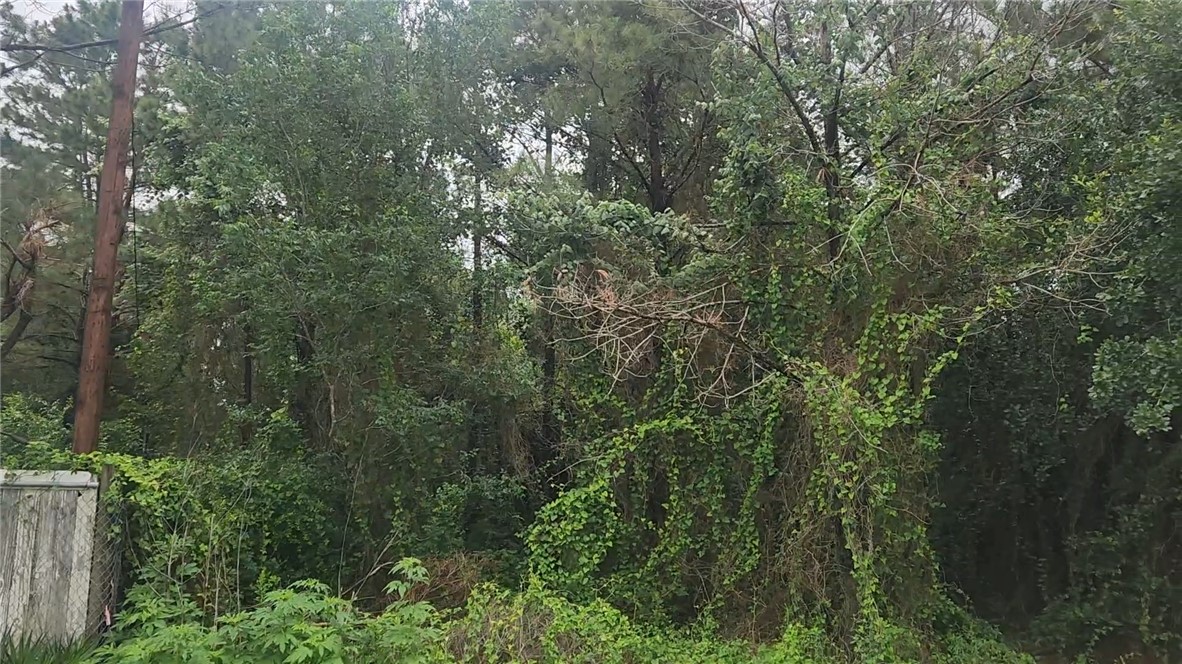 Lot 61 Greenfield Road Hempstead, TX 77445 - Photo 4 of 17 a view of a forest with lots of trees