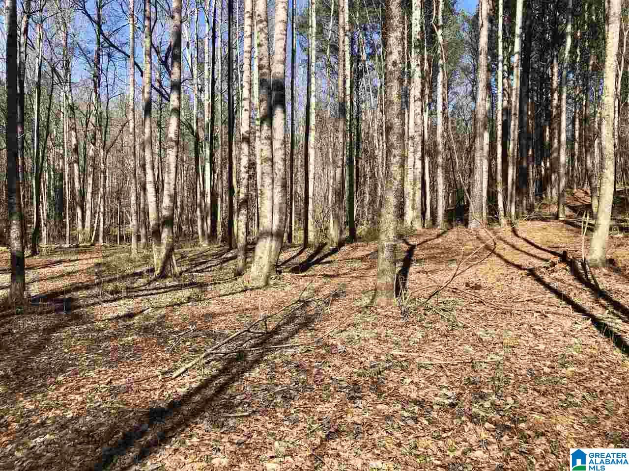 Campbell Street, Unit 1 Heflin, AL 36264 - Photo 3 of 15