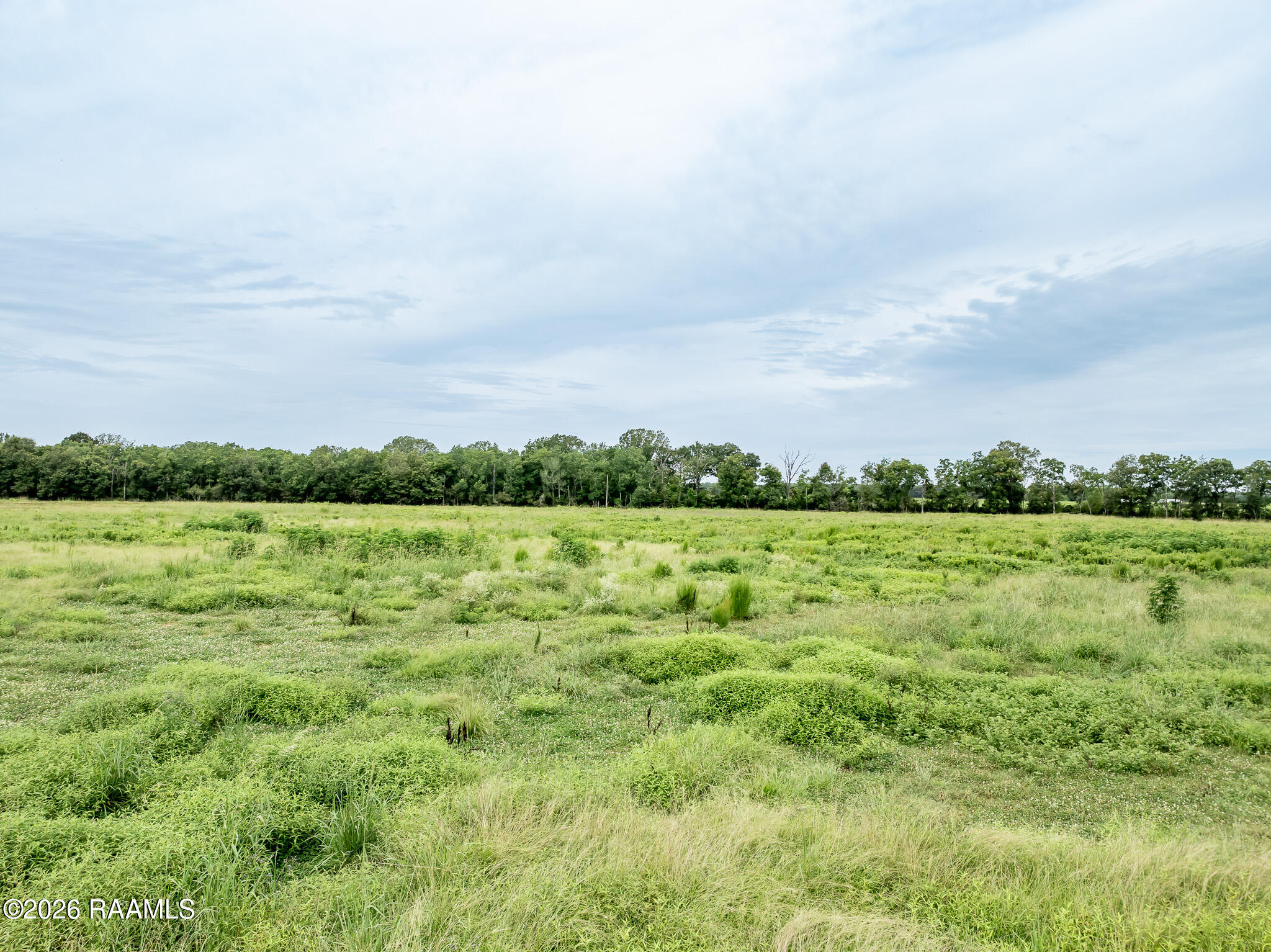 1182 St Julien Road Eunice, LA 70535 - Photo 14 of 31 DJI_0274