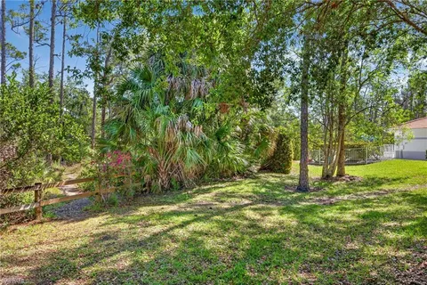 a view of a yard with a tree