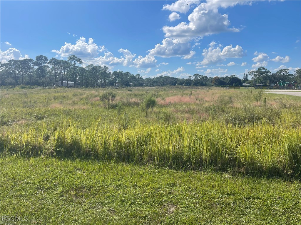 Loblolly Bay Road LaBelle, FL 33935 - Photo 6 of 6 Gallery Image 6
