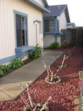 2109 Little River Avenue Santa Rosa, CA 95401 - Photo 2 of 12 Garage shown on the left has a low height window. Kitchen sink is at the corner window.