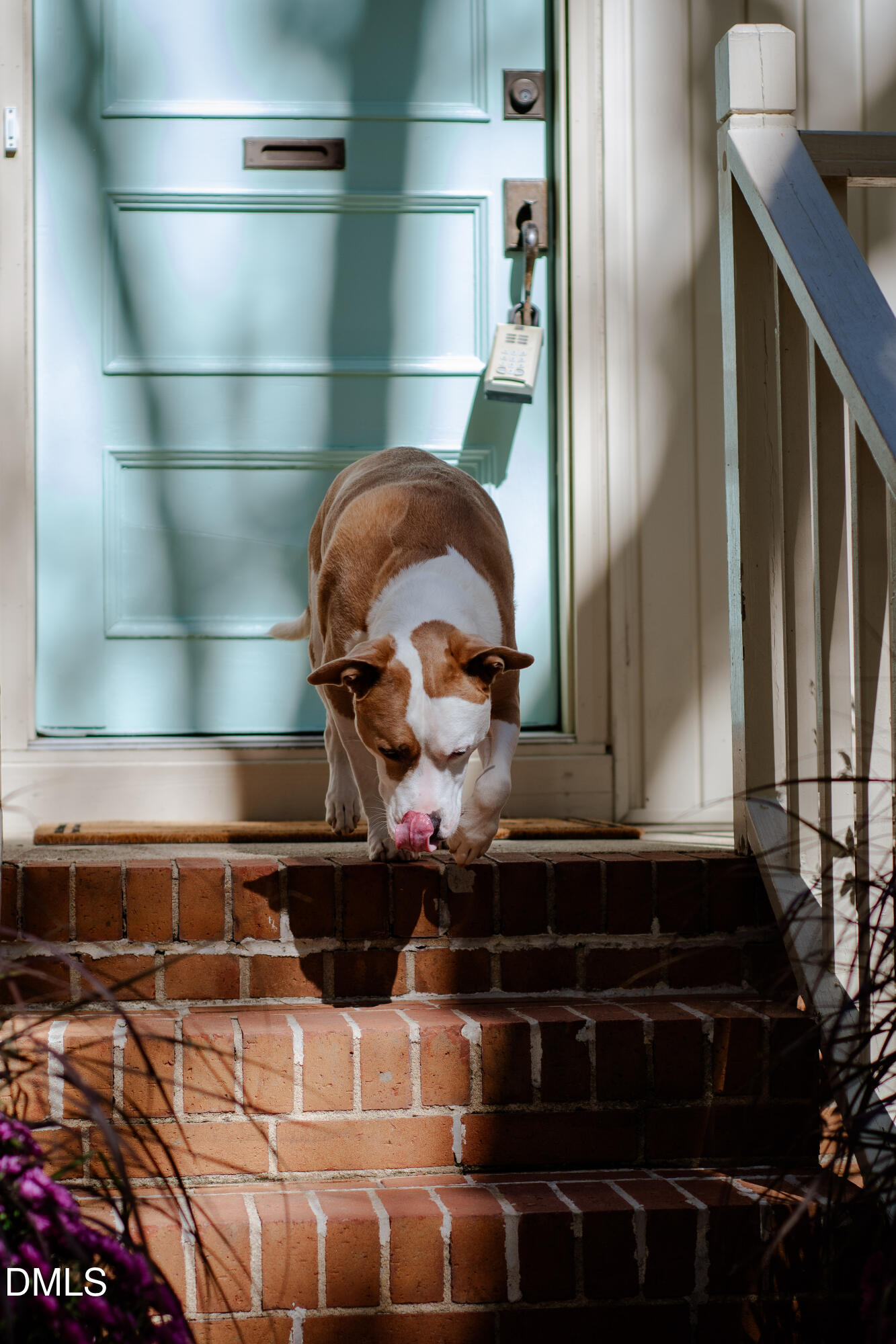 408 Troy Place Raleigh, NC 27609 - Photo 2 of 49 a bathroom with a sink and a mirror