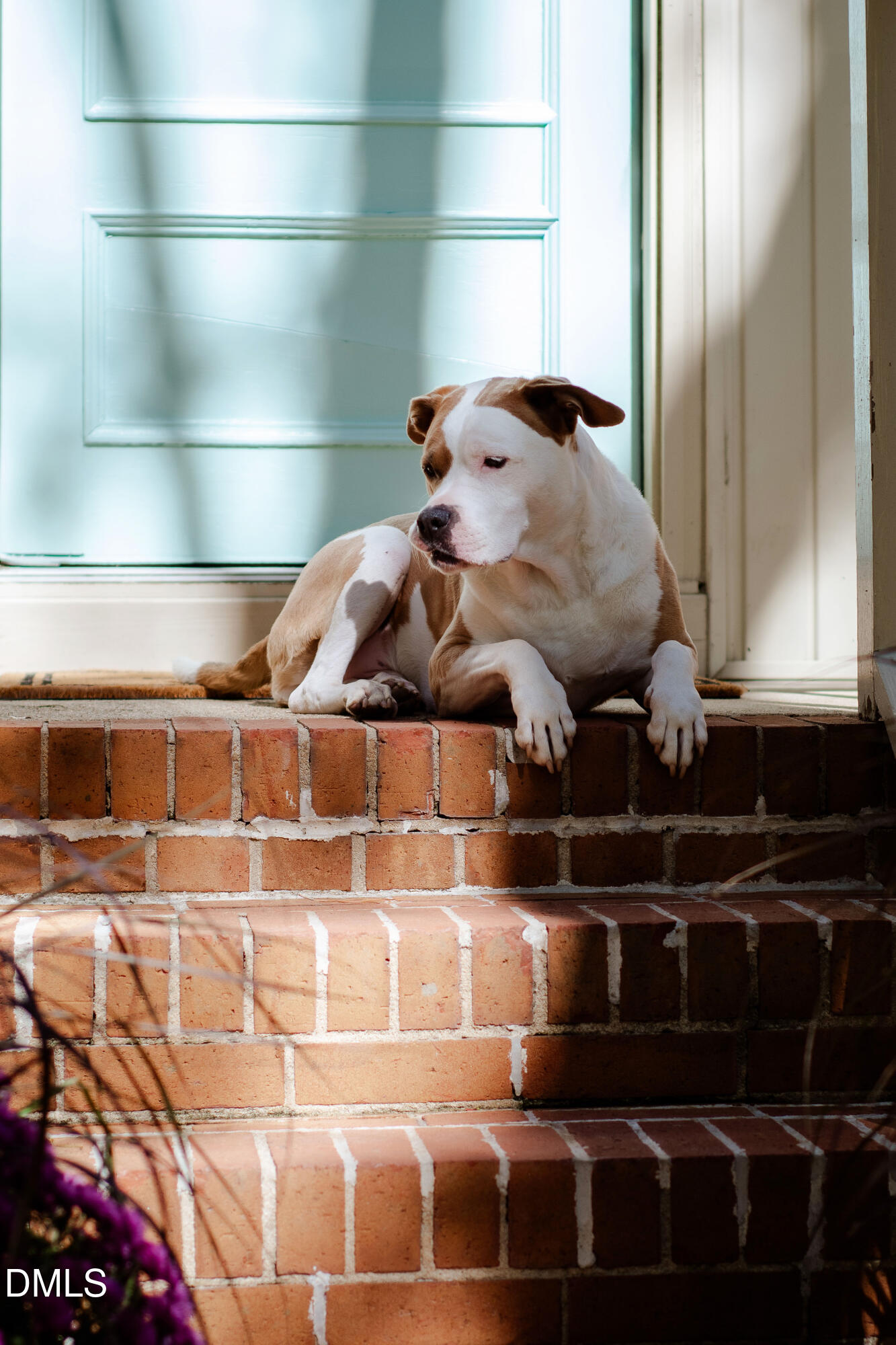 408 Troy Place Raleigh, NC 27609 - Photo 46 of 49