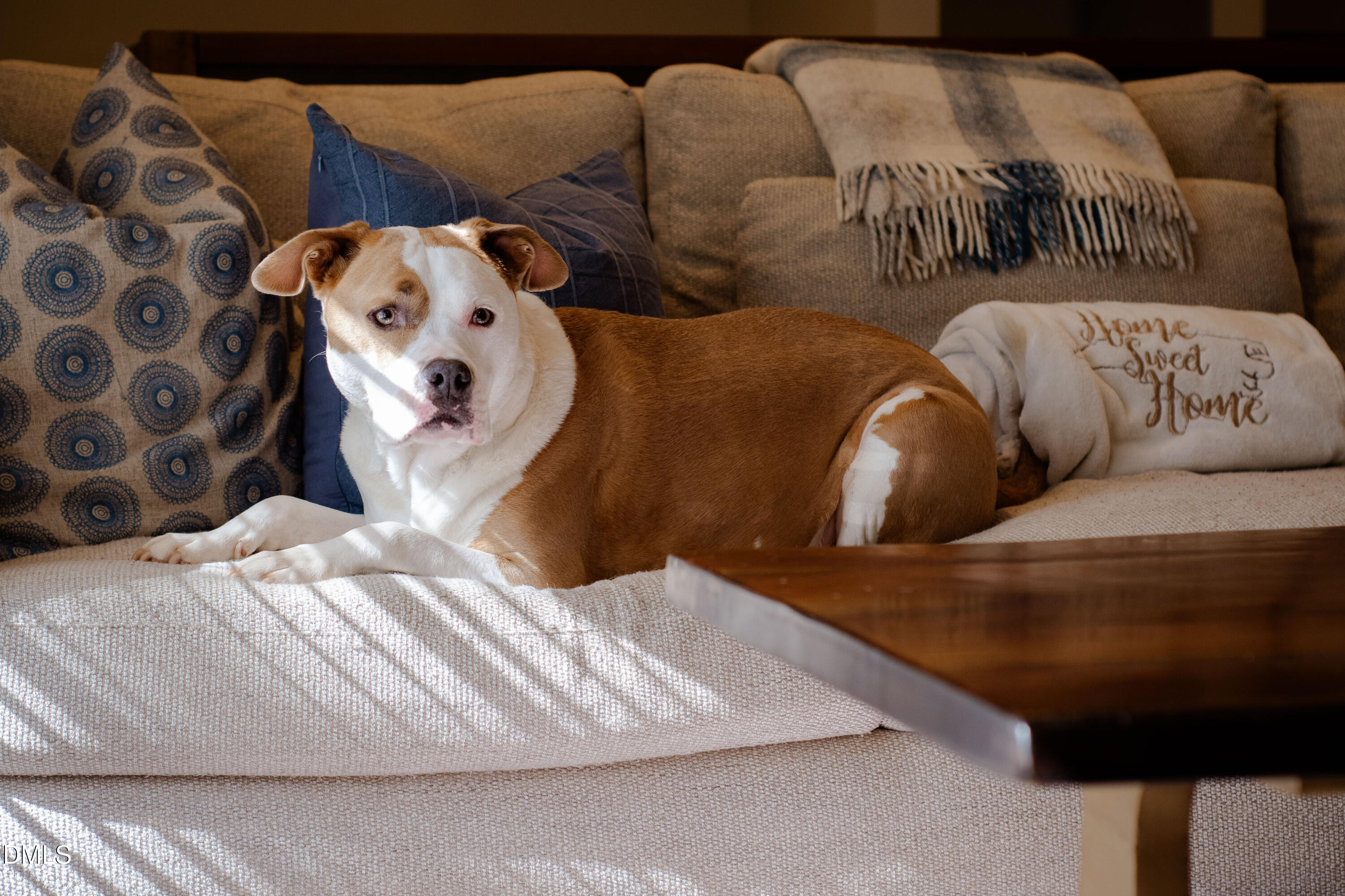 408 Troy Place Raleigh, NC 27609 - Photo 47 of 49 a living room with a couch