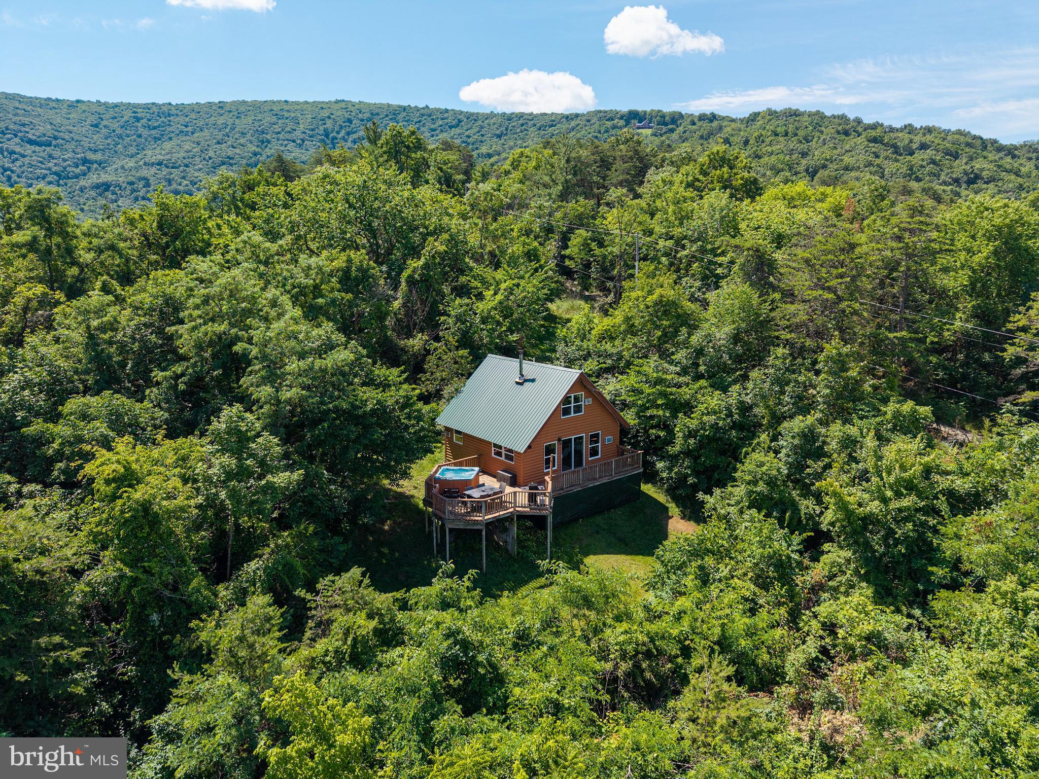 707 Overlook Drive Rileyville, VA 22650 - Photo 2 of 94