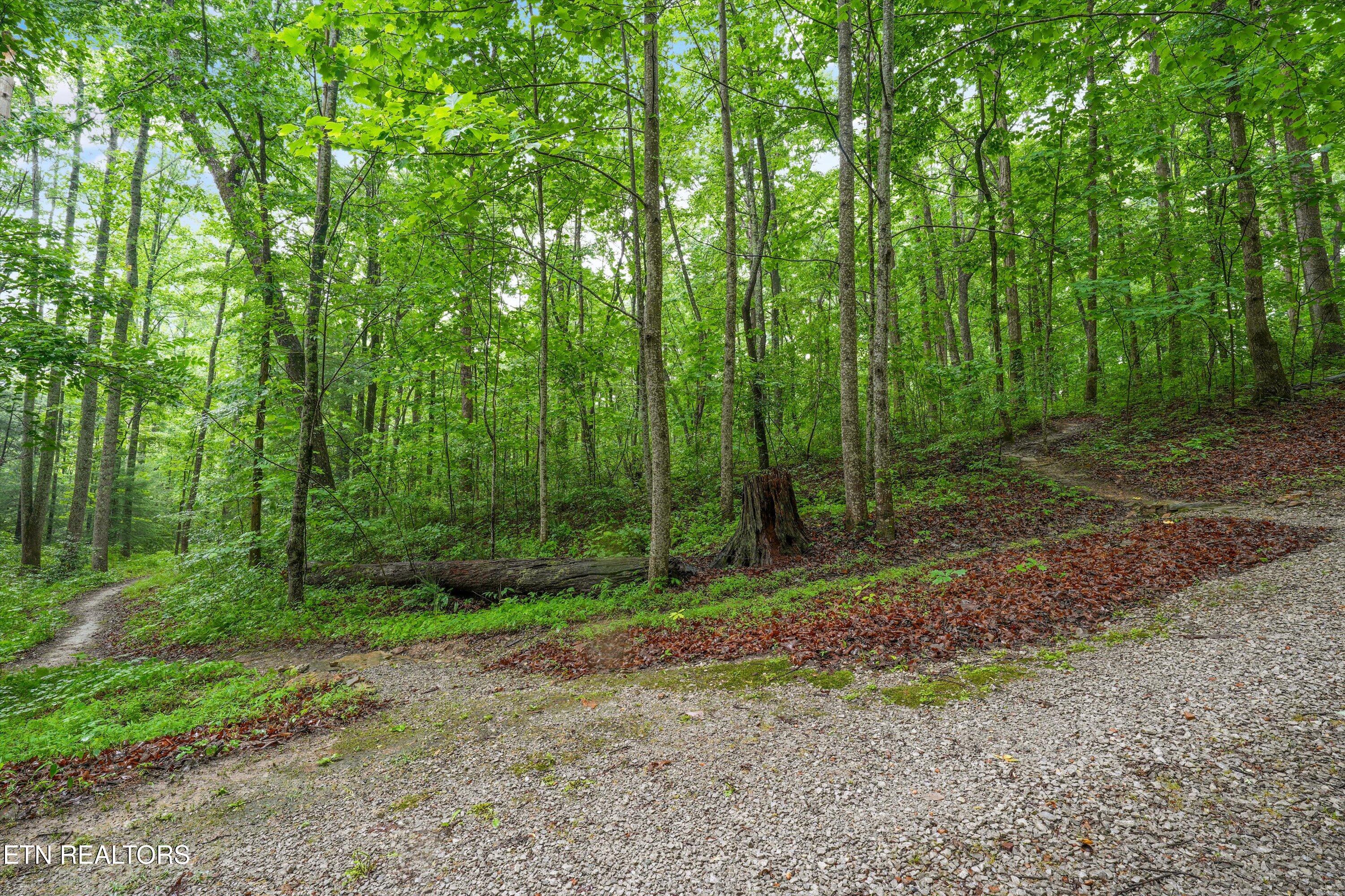 7043 Dogwood Road Grandview, TN 37337 - Photo 48 of 54 48-7043 Dogwood Rd48