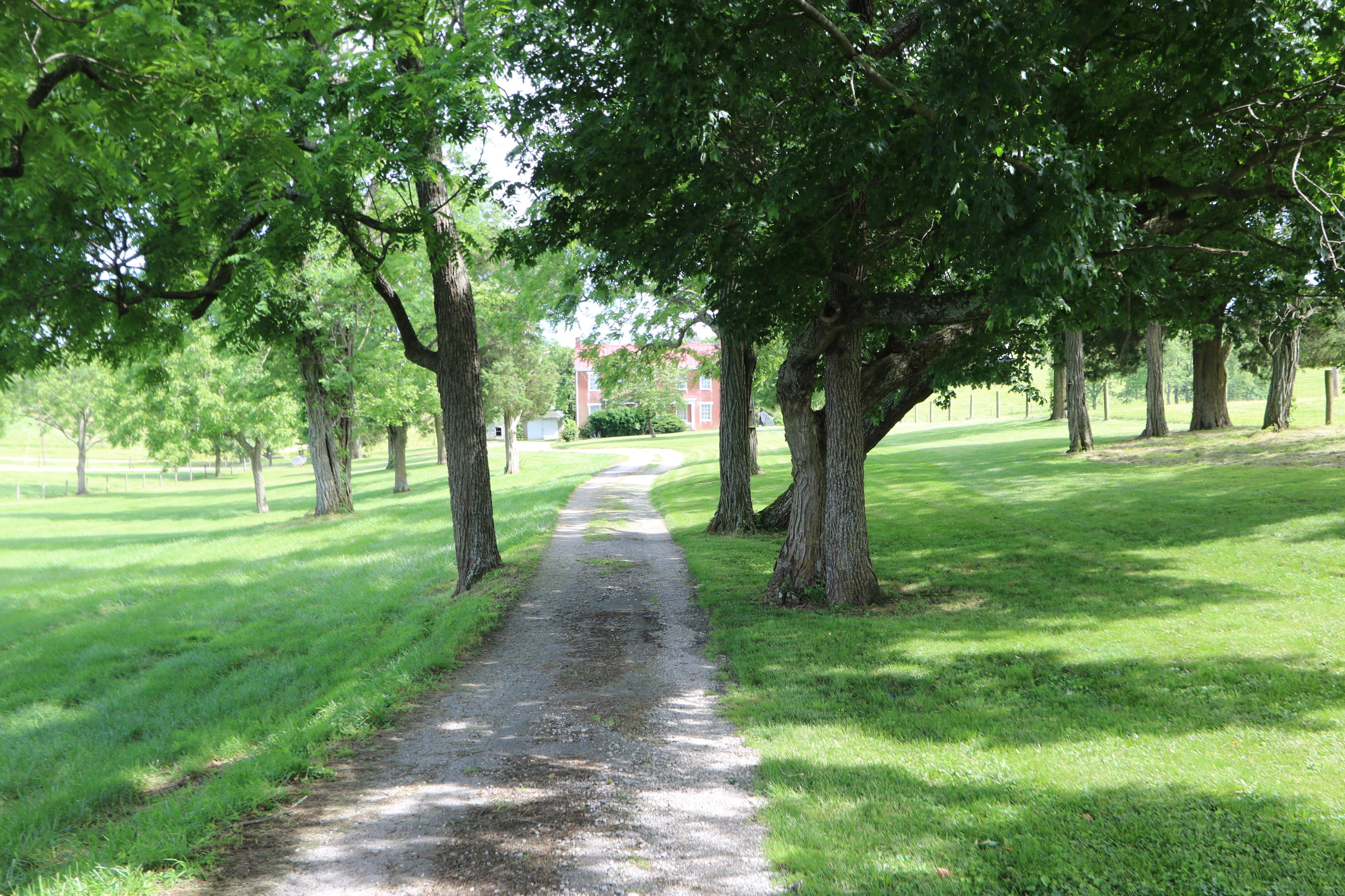 1236 Jackstown Road Paris, KY 40361 - Photo 38 of 41 IMG_4689 (1)