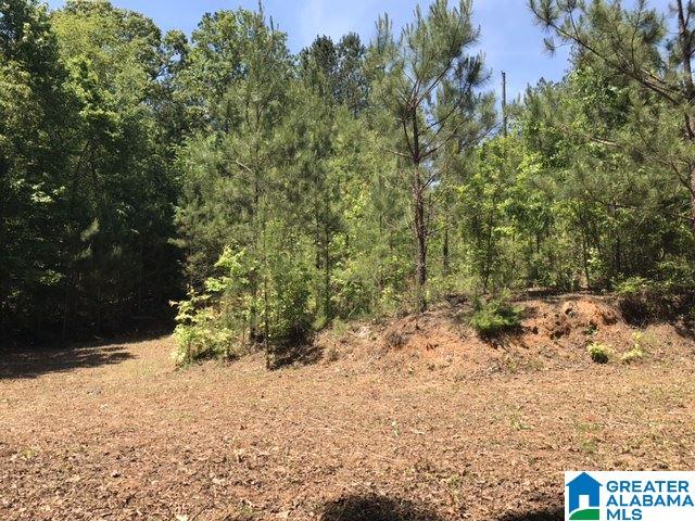 Wright Way Drive, Unit 3 Wedowee, AL 36278 - Photo 6 of 8