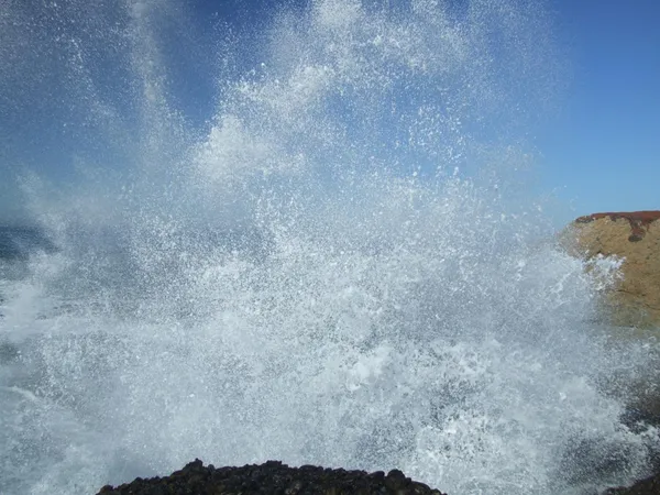 a view of a dry yard