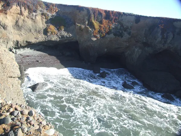a view of a dry field with trees in background