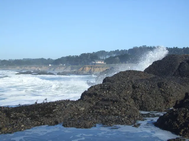 $2,500,000 | 10247 Cabrillo Highway, Pescadero, CA 94060