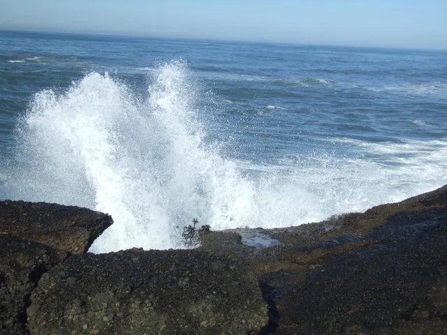 $2,500,000 | 10247 Cabrillo Highway, Pescadero, CA 94060