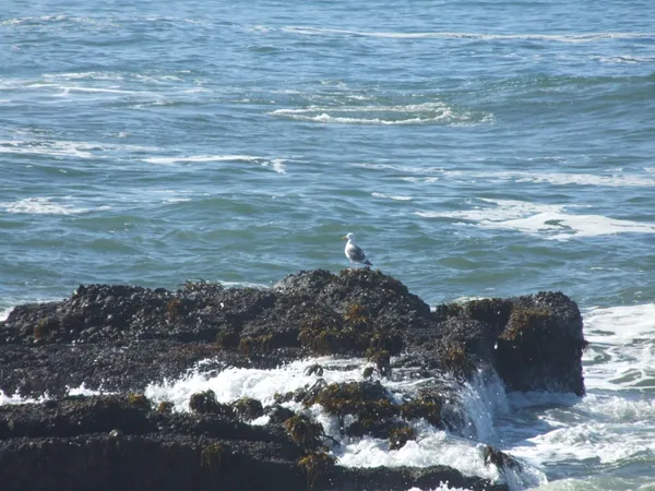 a view of an ocean beach