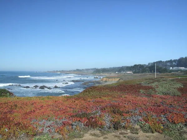 a view of ocean view with beach