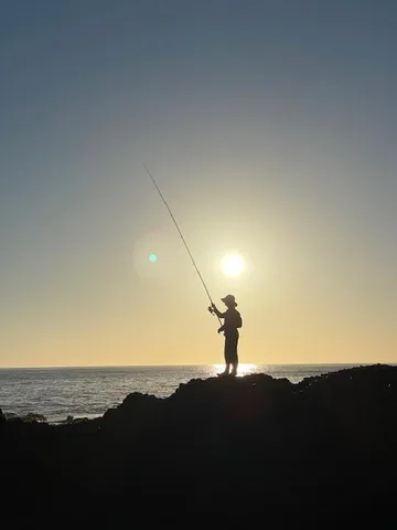 $2,500,000 | 10247 Cabrillo Highway, Pescadero, CA 94060