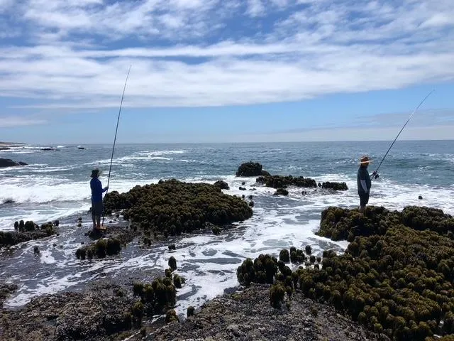 $2,500,000 | 10247 Cabrillo Highway, Pescadero, CA 94060