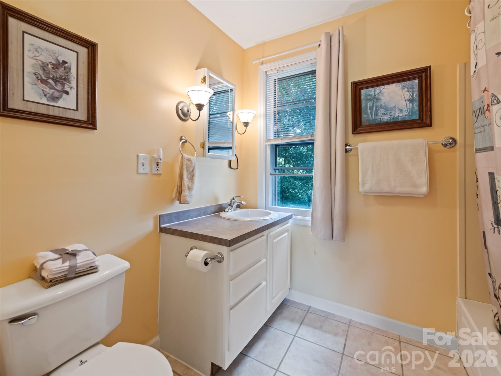 1714 Iron Duff Road Waynesville, NC 28785 - Photo 21 of 25 a bathroom with a granite countertop toilet and a sink