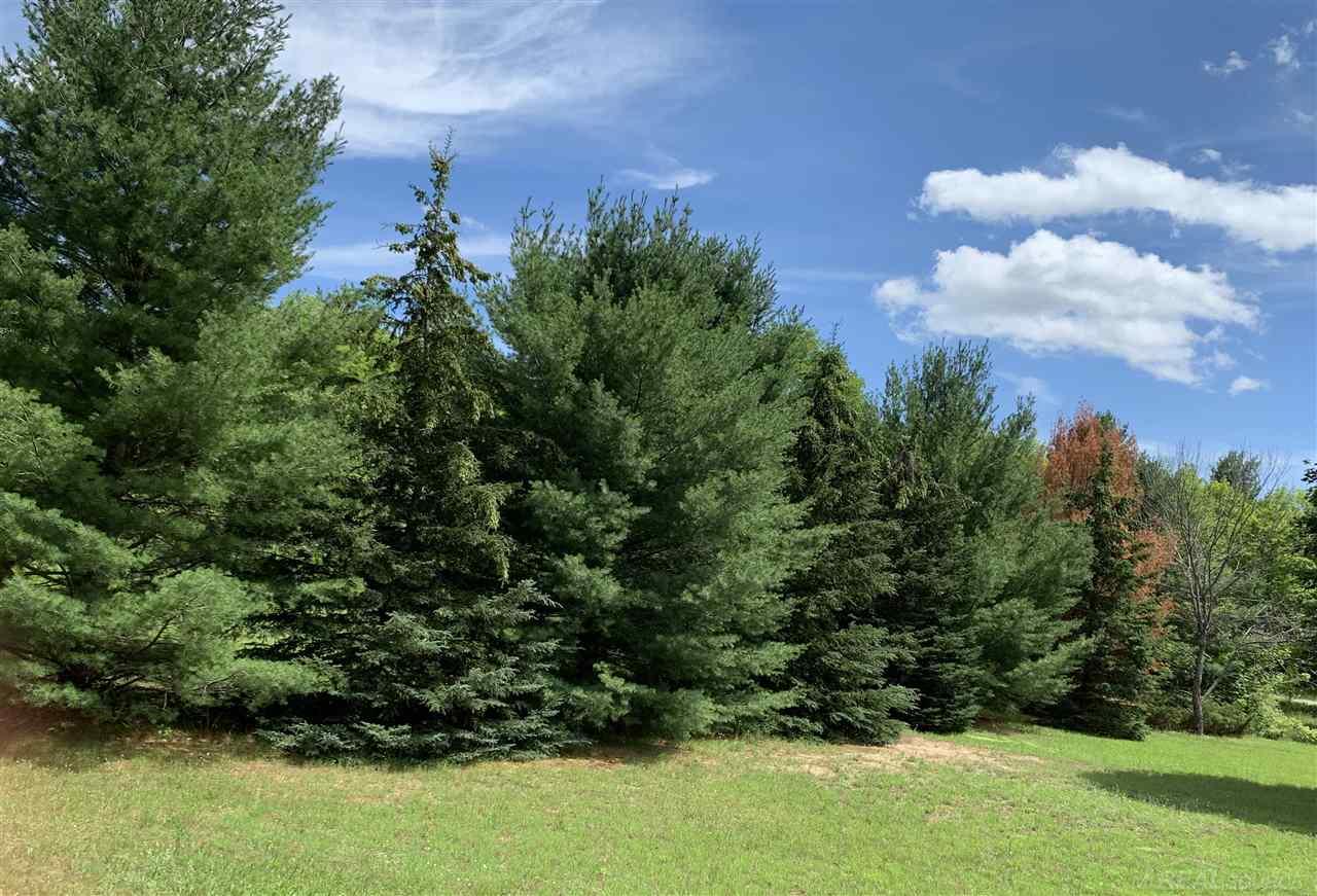 6749 South Pleasantview Road Harbor Springs, MI 49740 - Photo 5 of 8 Large Parcel
