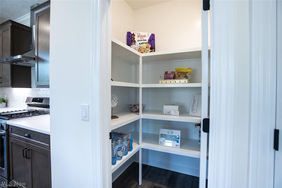 34286 Brookside Lane North Ridgeville, OH 44039 - Photo 20 of 50 View of pantry