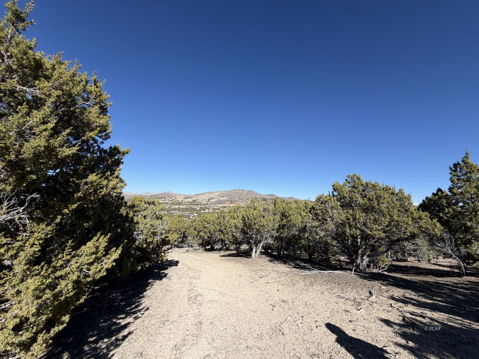 Andy's Way Elko, NV 89801 - Photo 10 of 16