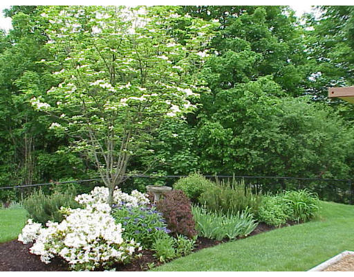 14 Duck Road Reading, MA 01867 - Photo 11 of 12 Gallery Image 11