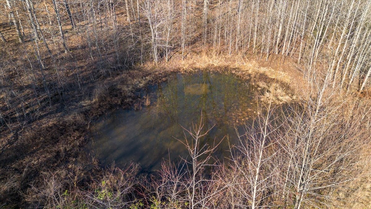 6527 Fredonia Road Manchester, TN 37355 - Photo 12 of 26