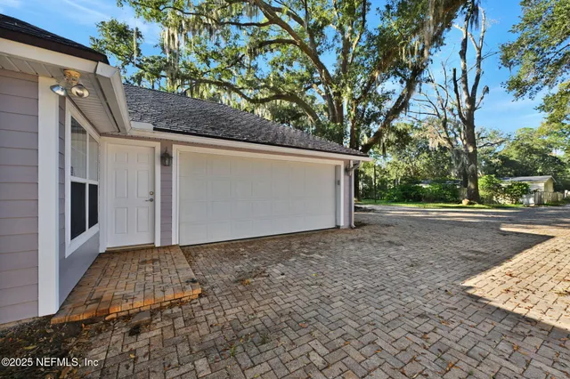 a view of a yard with plants and trees
