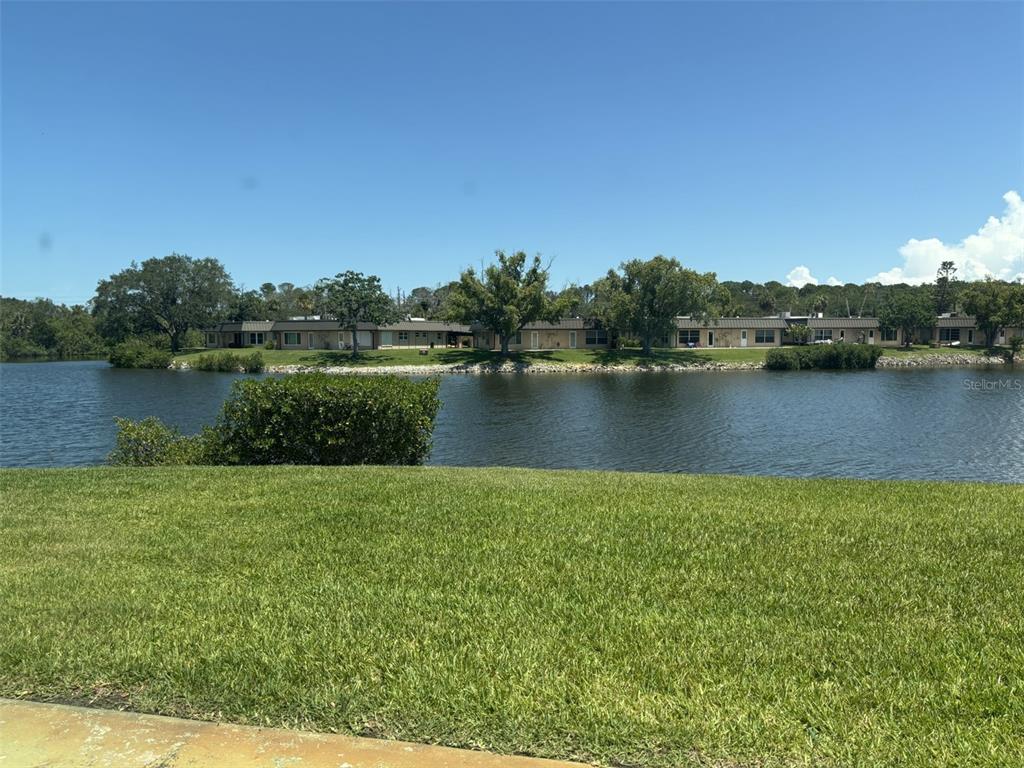 4115 Hampton Drive New Port Richey, FL 34652 - Photo 6 of 23