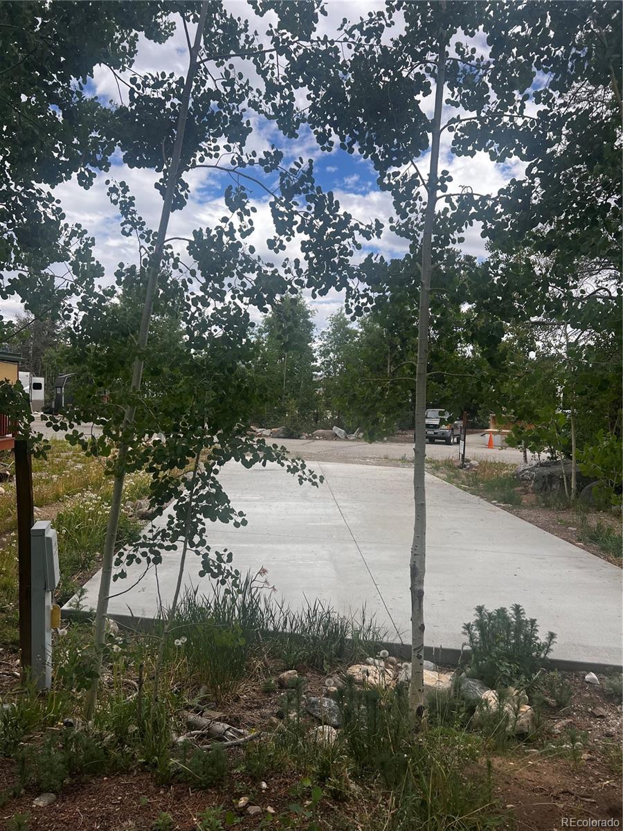 a view of a pathway with a yard