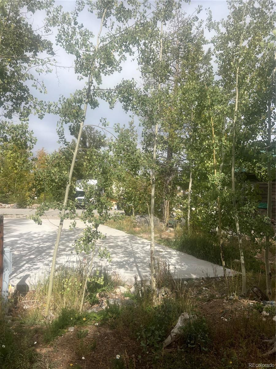 Sunshine Loop Fairplay, CO 80440 - Photo 2 of 13 a backyard of a house with lots of green space