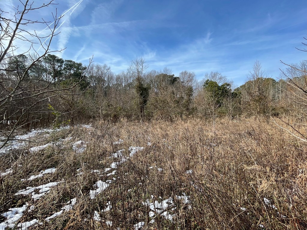 3.65 Old Neck Road, Unit 1 Weems, VA 22576 - Photo 31 of 35
