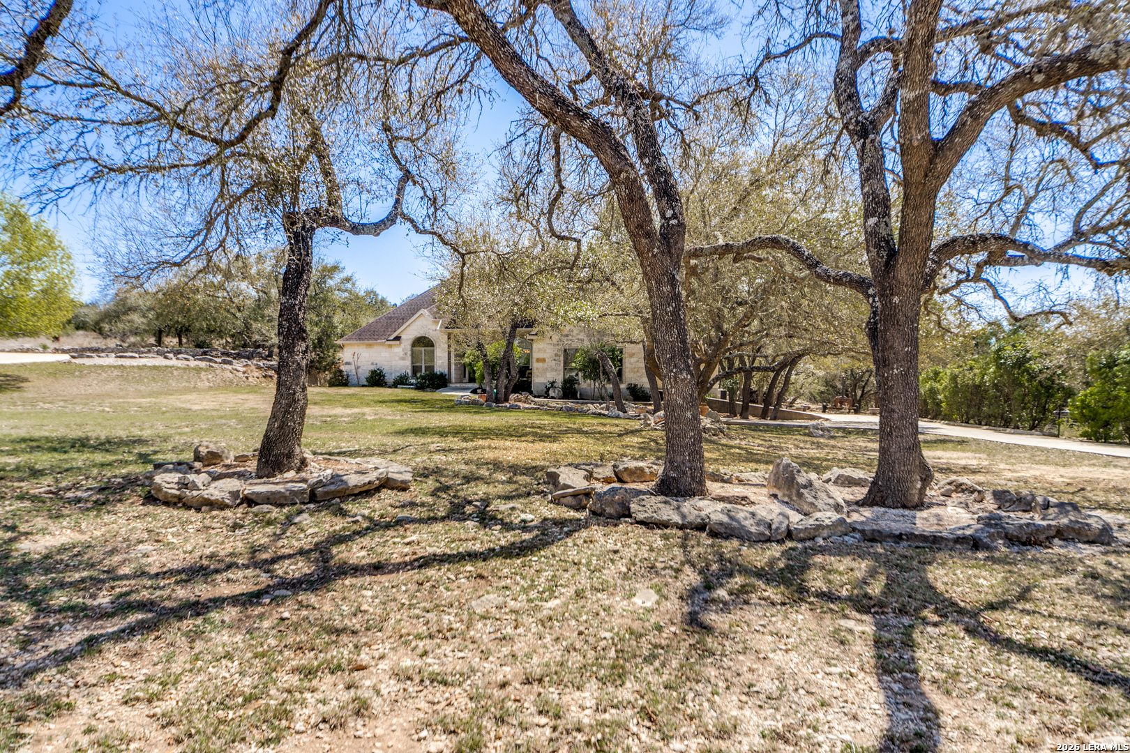 386 Wentworth Spring Branch, TX 78070 - Photo 30 of 30 a view of a yard with lots of trees
