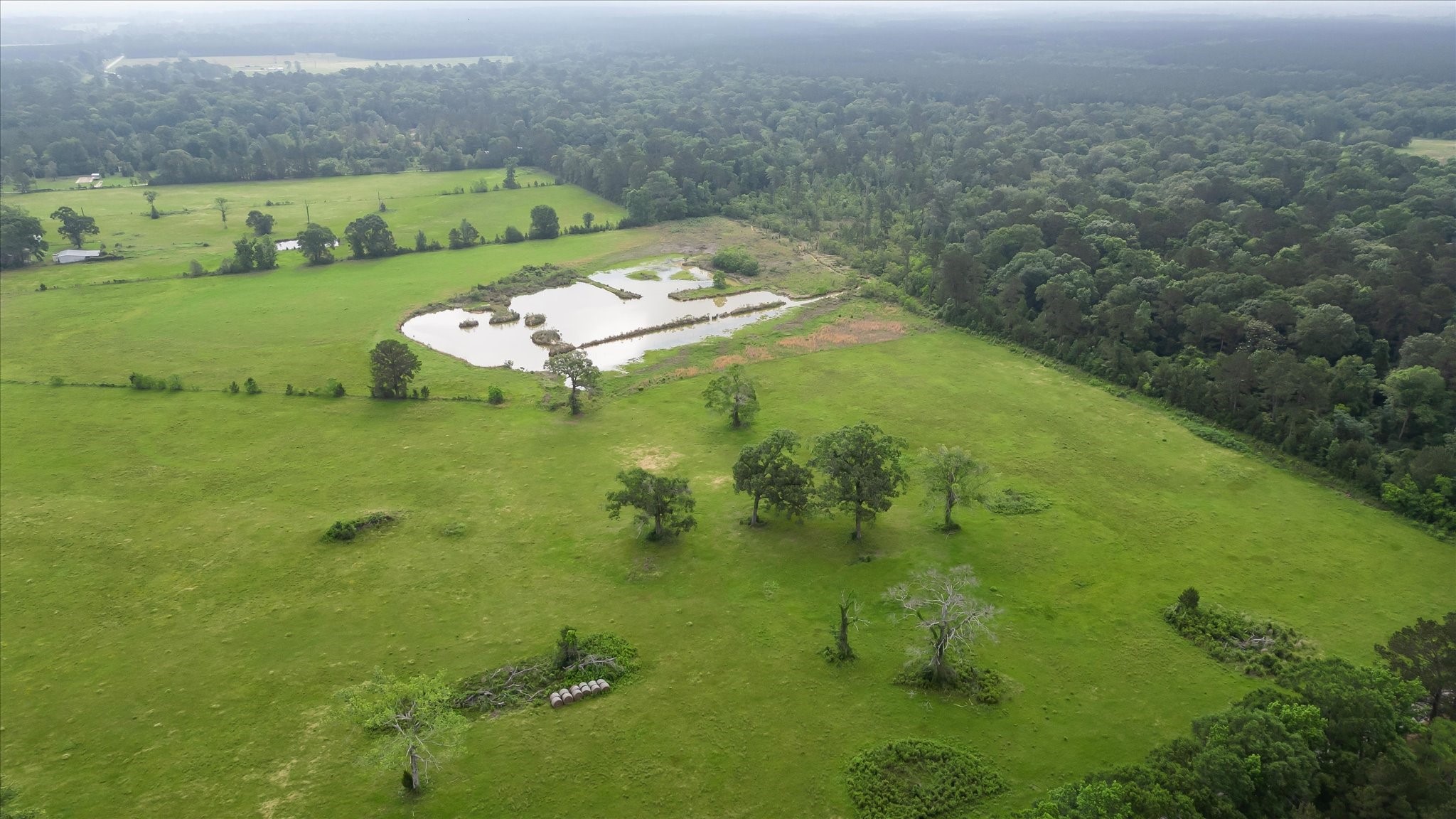 2760 Stringtown Road Shepherd, TX 77371 - Photo 15 of 46 a view of a big yard