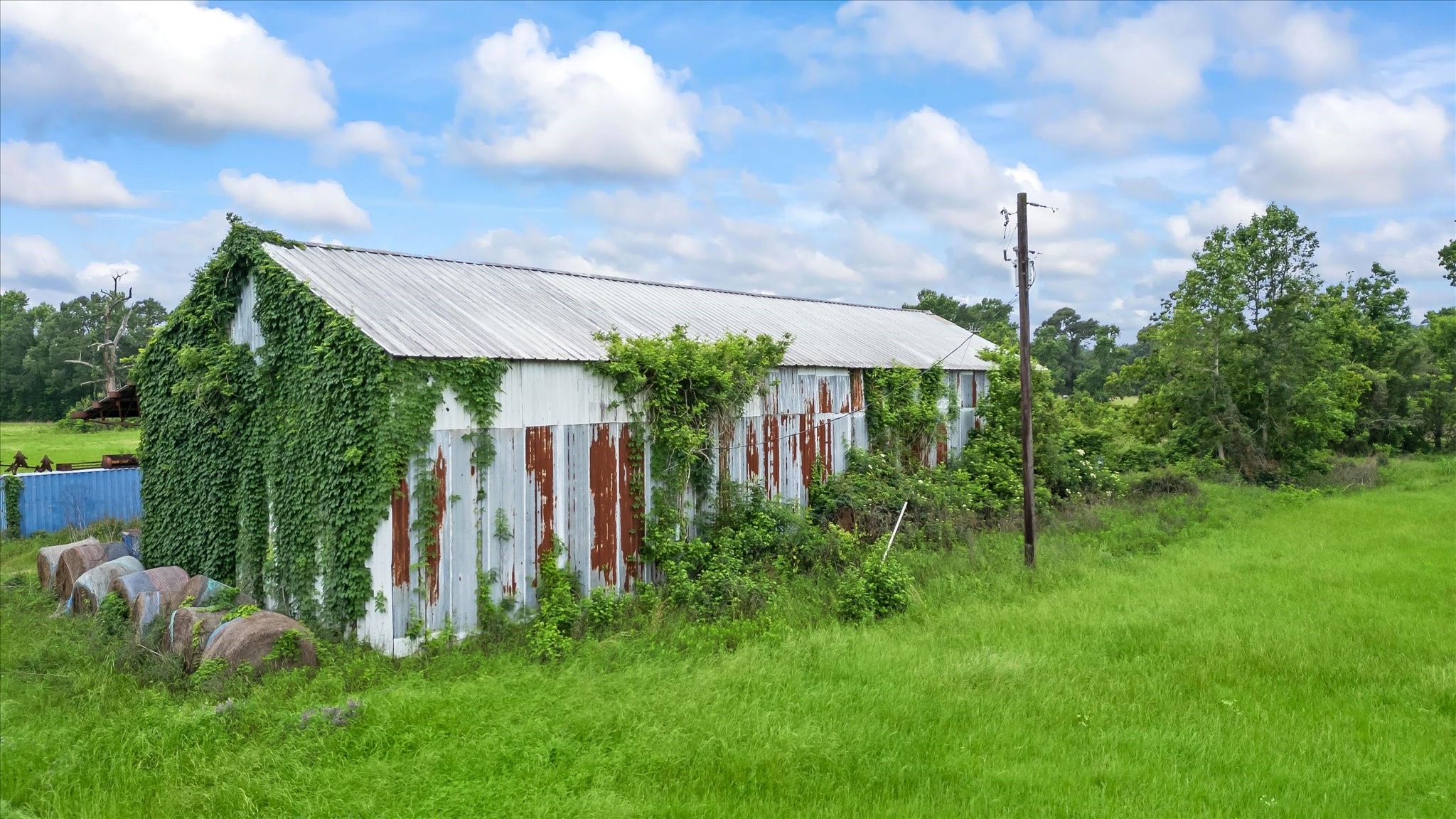 2760 Stringtown Road Shepherd, TX 77371 - Photo 21 of 46 a view of a backyard with plants