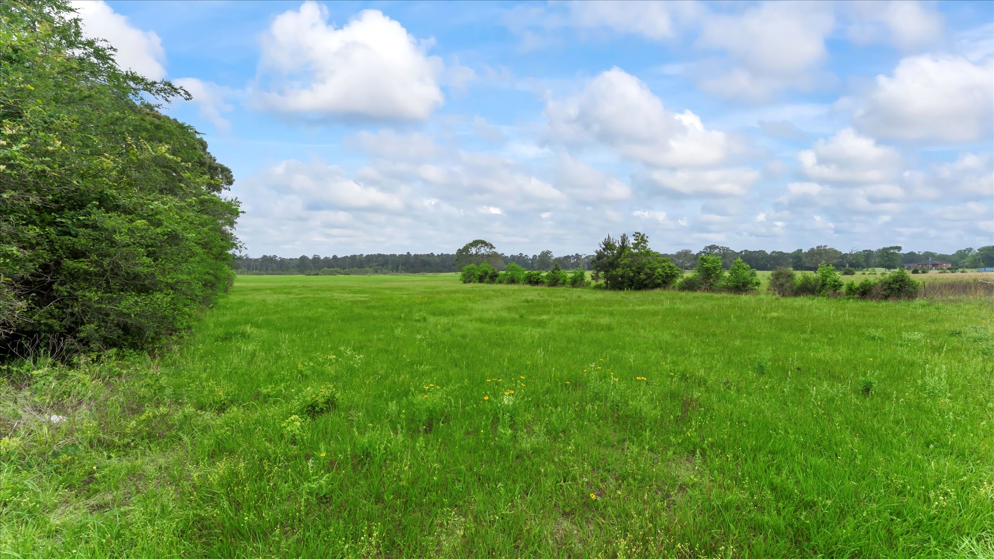 2760 Stringtown Road Shepherd, TX 77371 - Photo 26 of 46