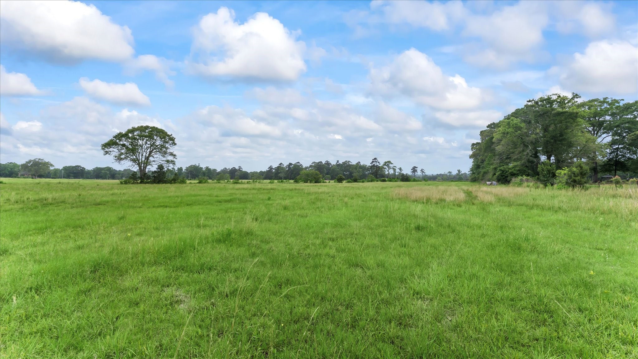 2760 Stringtown Road Shepherd, TX 77371 - Photo 29 of 46 a backyard of a house with lots of green space