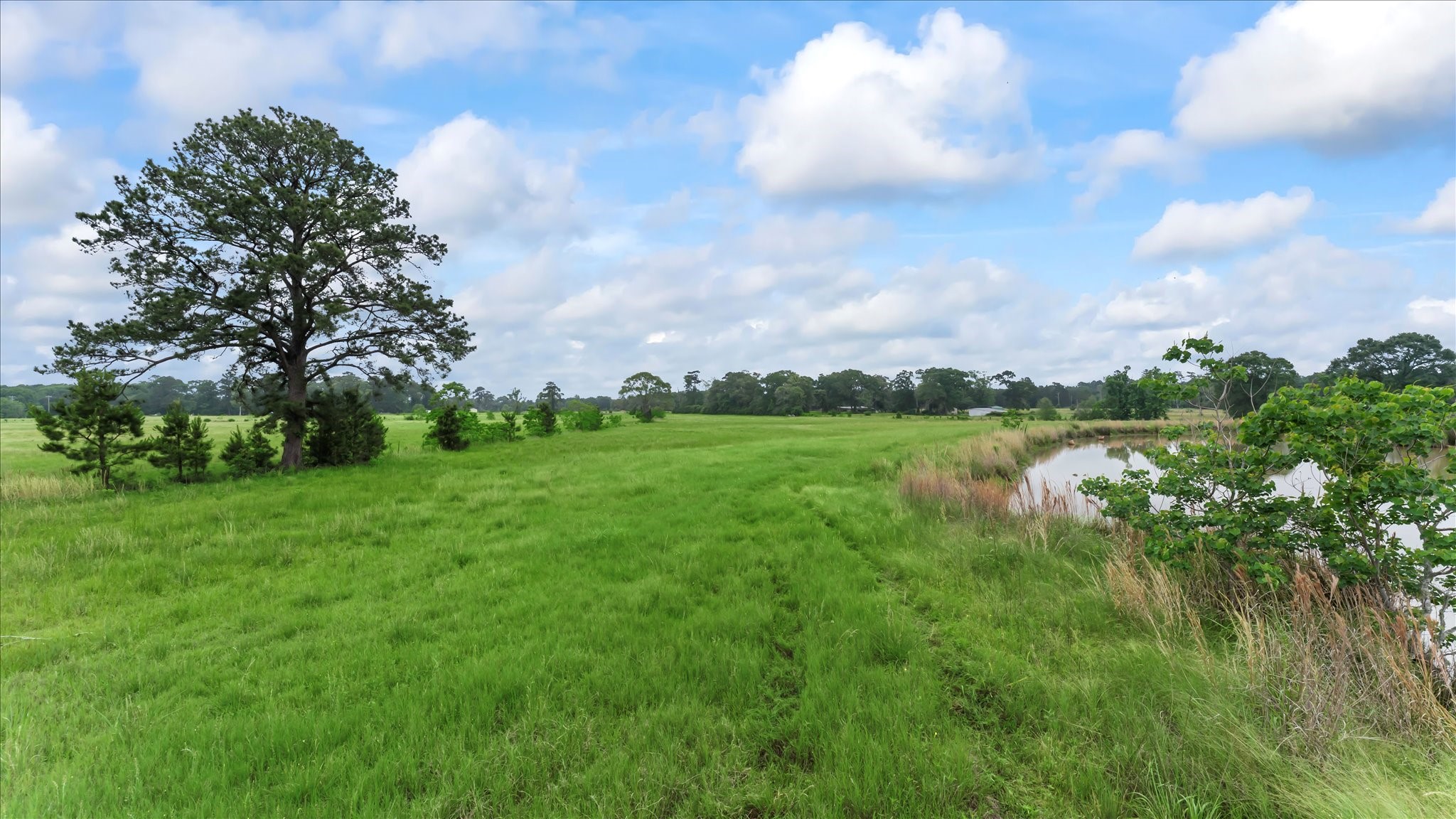 2760 Stringtown Road Shepherd, TX 77371 - Photo 33 of 46 a view of a lake with houses in the back