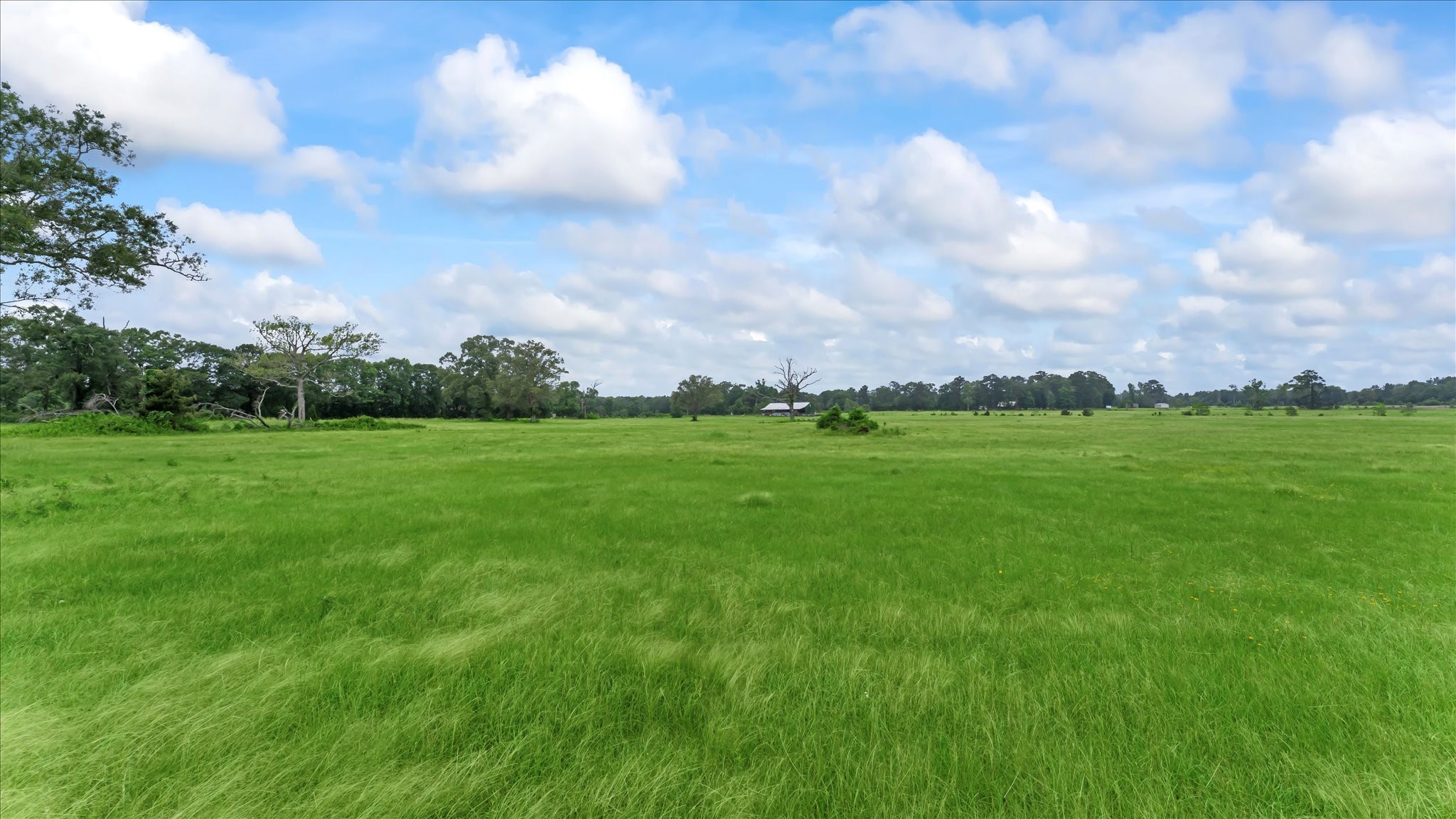 2760 Stringtown Road Shepherd, TX 77371 - Photo 37 of 46 a view of a green field
