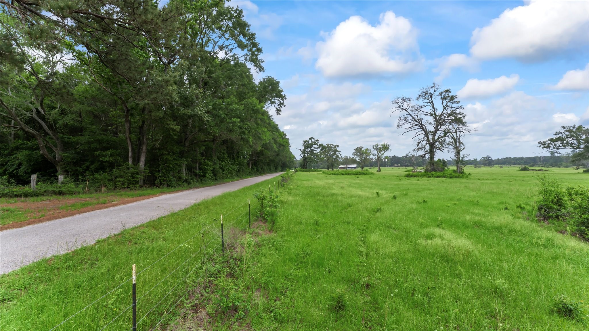 2760 Stringtown Road Shepherd, TX 77371 - Photo 38 of 46 a backyard of a house with lots of green space