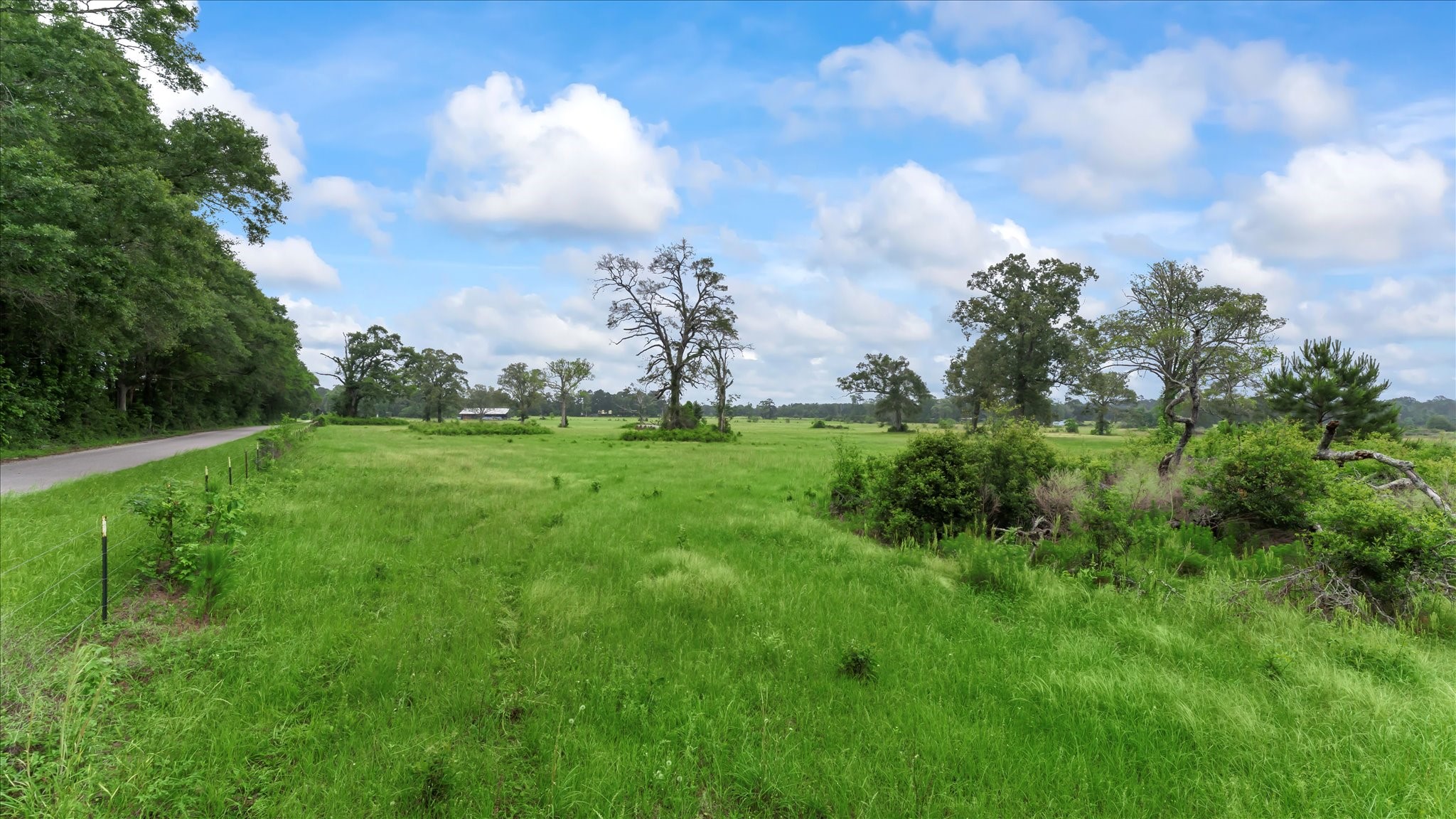 2760 Stringtown Road Shepherd, TX 77371 - Photo 39 of 46 a view of a big yard