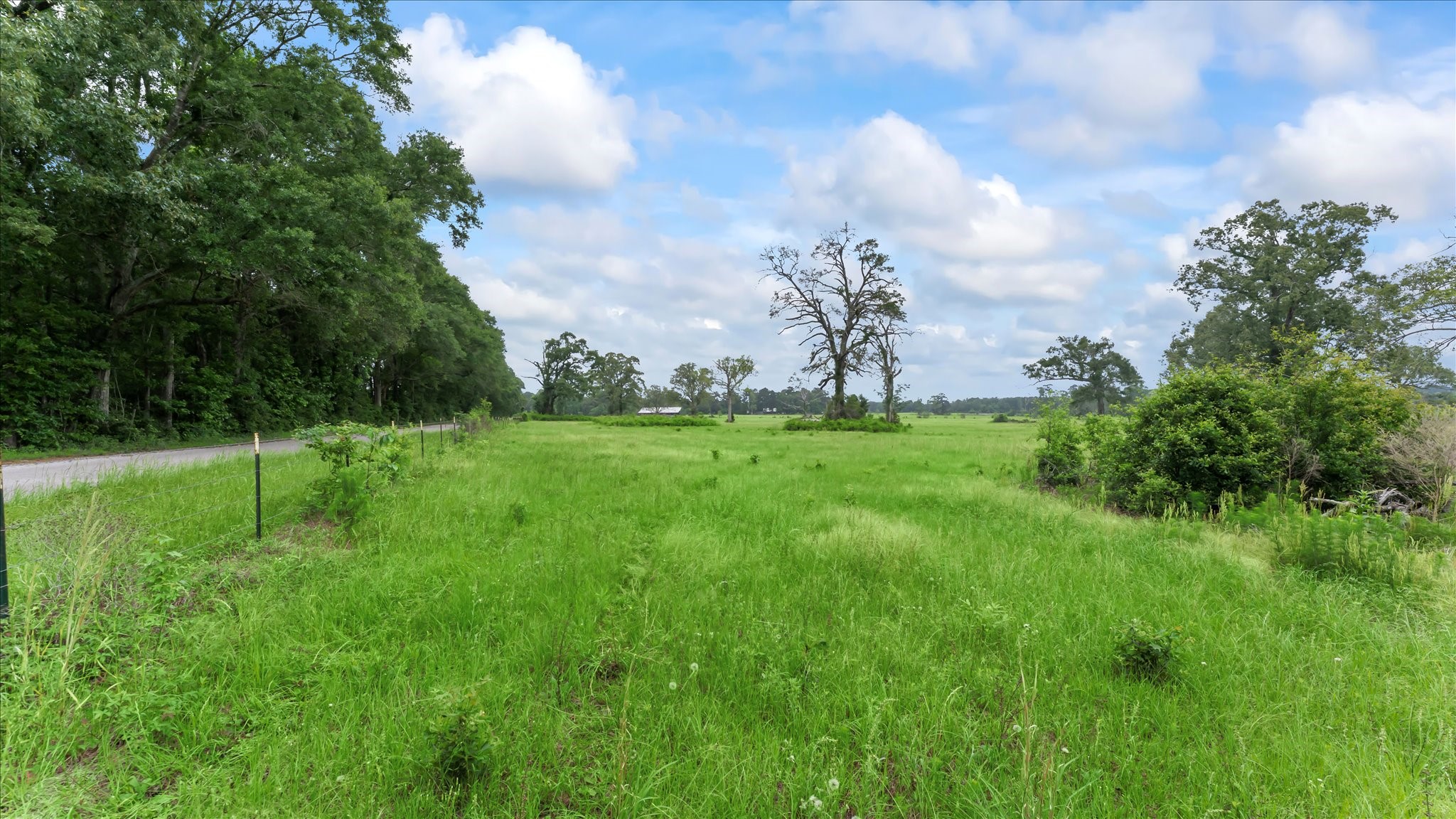 2760 Stringtown Road Shepherd, TX 77371 - Photo 40 of 46 a backyard of a house with lots of green space