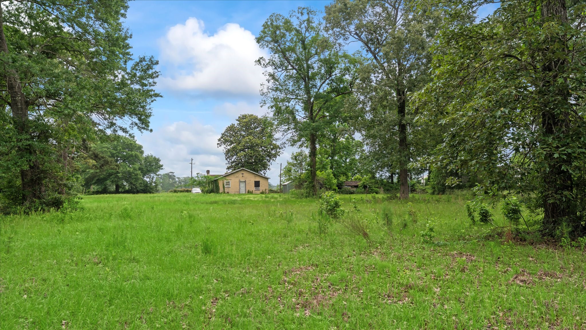 2760 Stringtown Road Shepherd, TX 77371 - Photo 43 of 46 a view of a grassy field with trees in the background