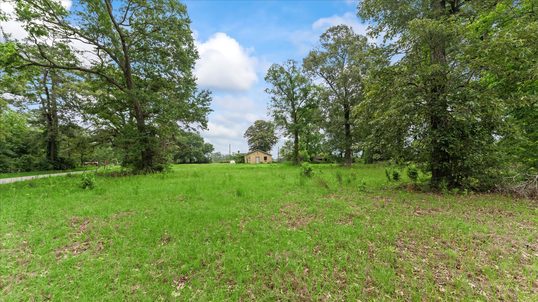 2760 Stringtown Road Shepherd, TX 77371 - Photo 44 of 46 a view of green field with trees in the background